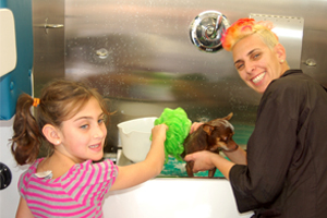 Yael washes a dog at a grooming station.