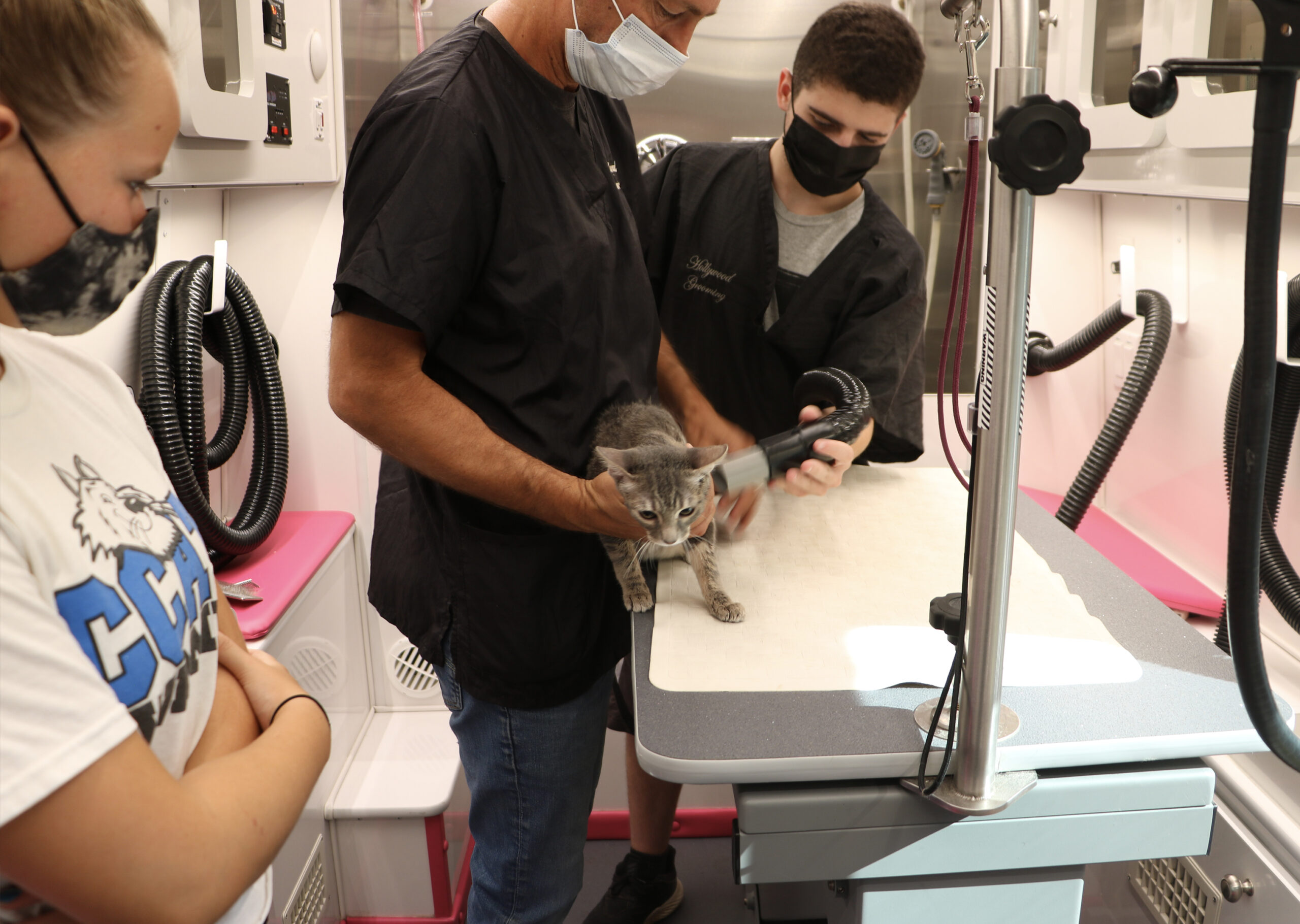 Hollywood Grooming at Hope For The Valley Mobile Grooming Los Angeles