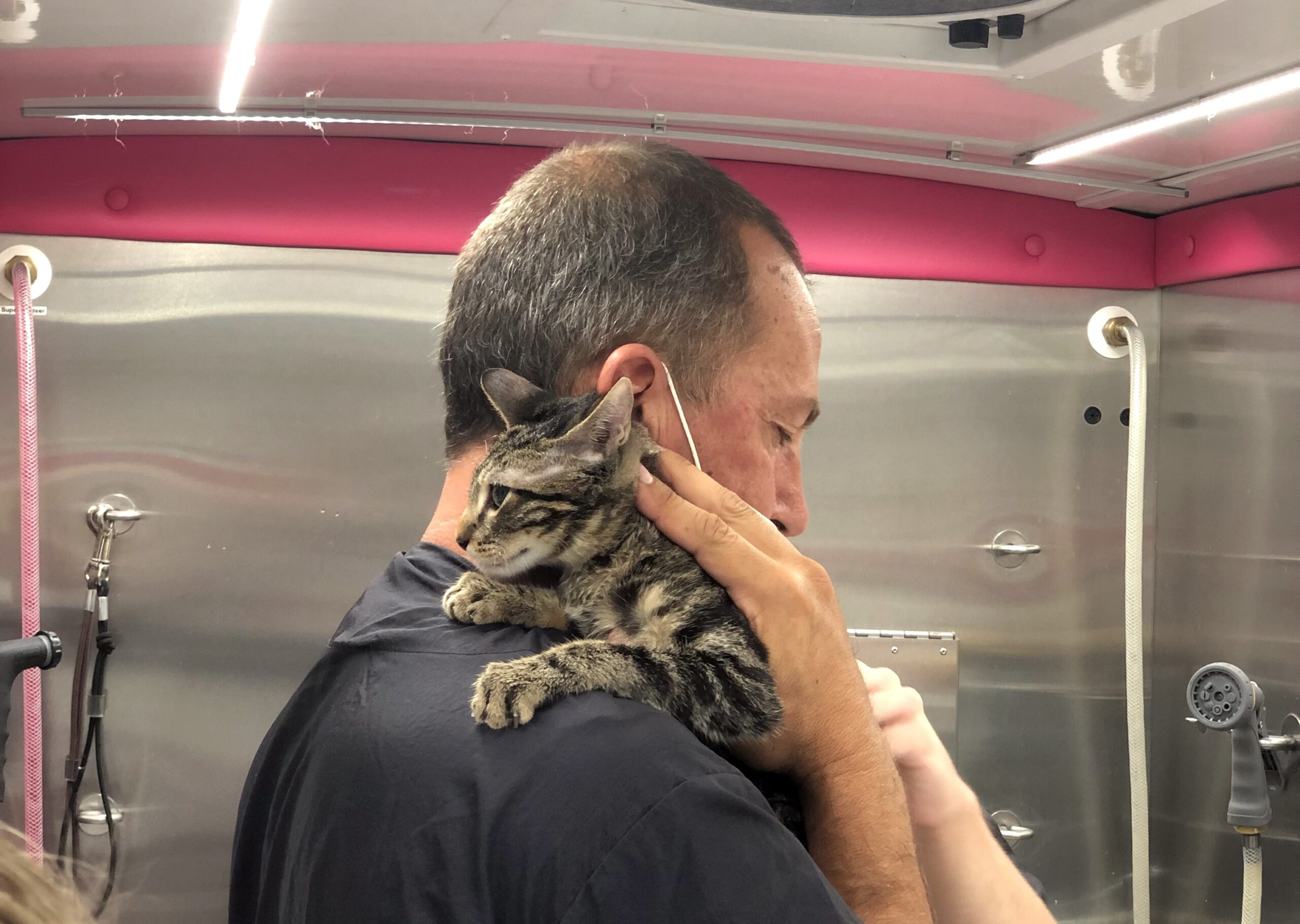 Hollywood Grooming at Hope For The Valley Mobile Grooming Los Angeles