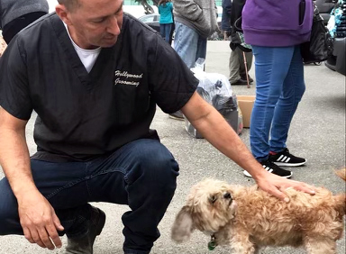 Chuck pets a dog at a community event.