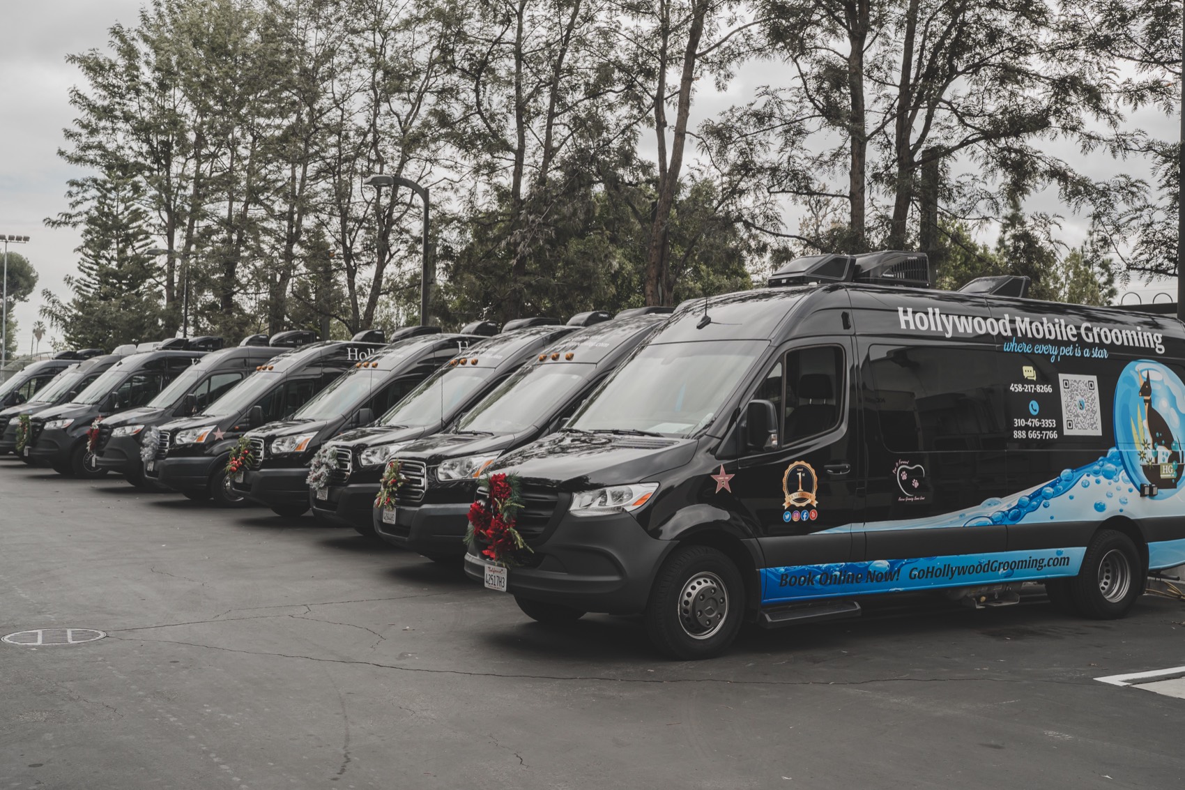 Go Hollywood Grooming Rolls Into San Luis Obispo