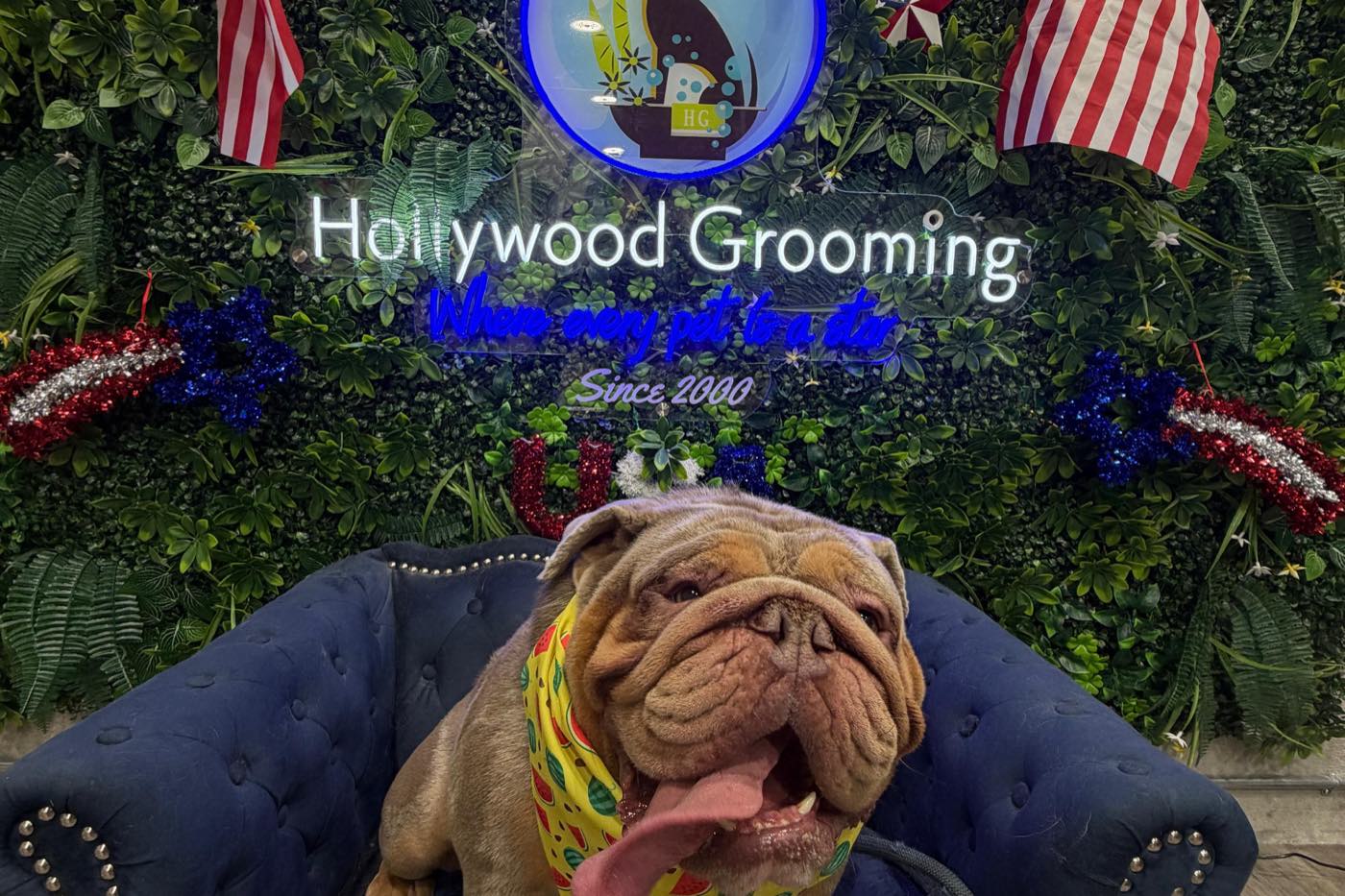 A Pawsitively Beautiful Day at Our Burbank Grand Opening