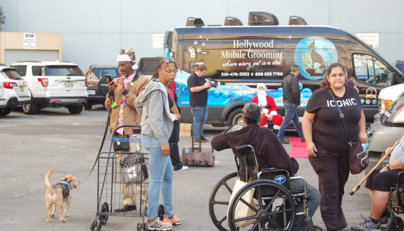 Hollywood Grooming working with animal rescue and advocacy organizations.