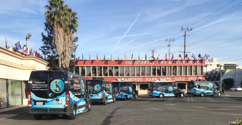 Luxury Pet Spa Vans Mobile Pet Grooming Home or Office