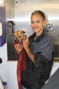 Animal Groomer Clarrisa holds a small tan dog at a Grooming Station.