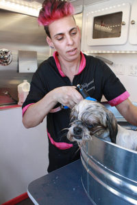 Yael washes a dog at a Grooming Station.
