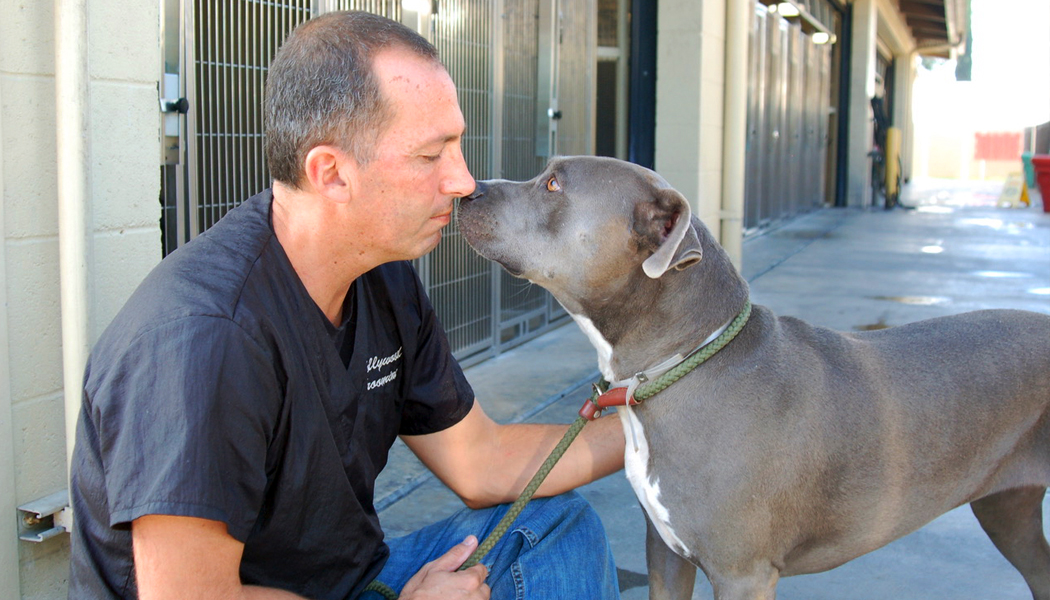 Owner Chuck and a shelter dog sitting on the ground, touching noses.