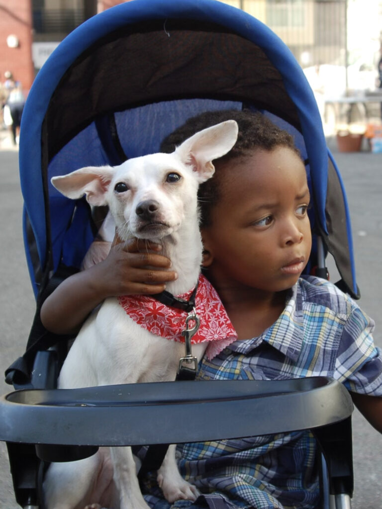 A child holds a happy dog in his stroller at a Hollywood Mobile Grooming event.