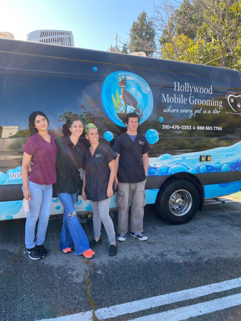 Go Hollywood Grooming Mobile pet Grooming Los Angeles