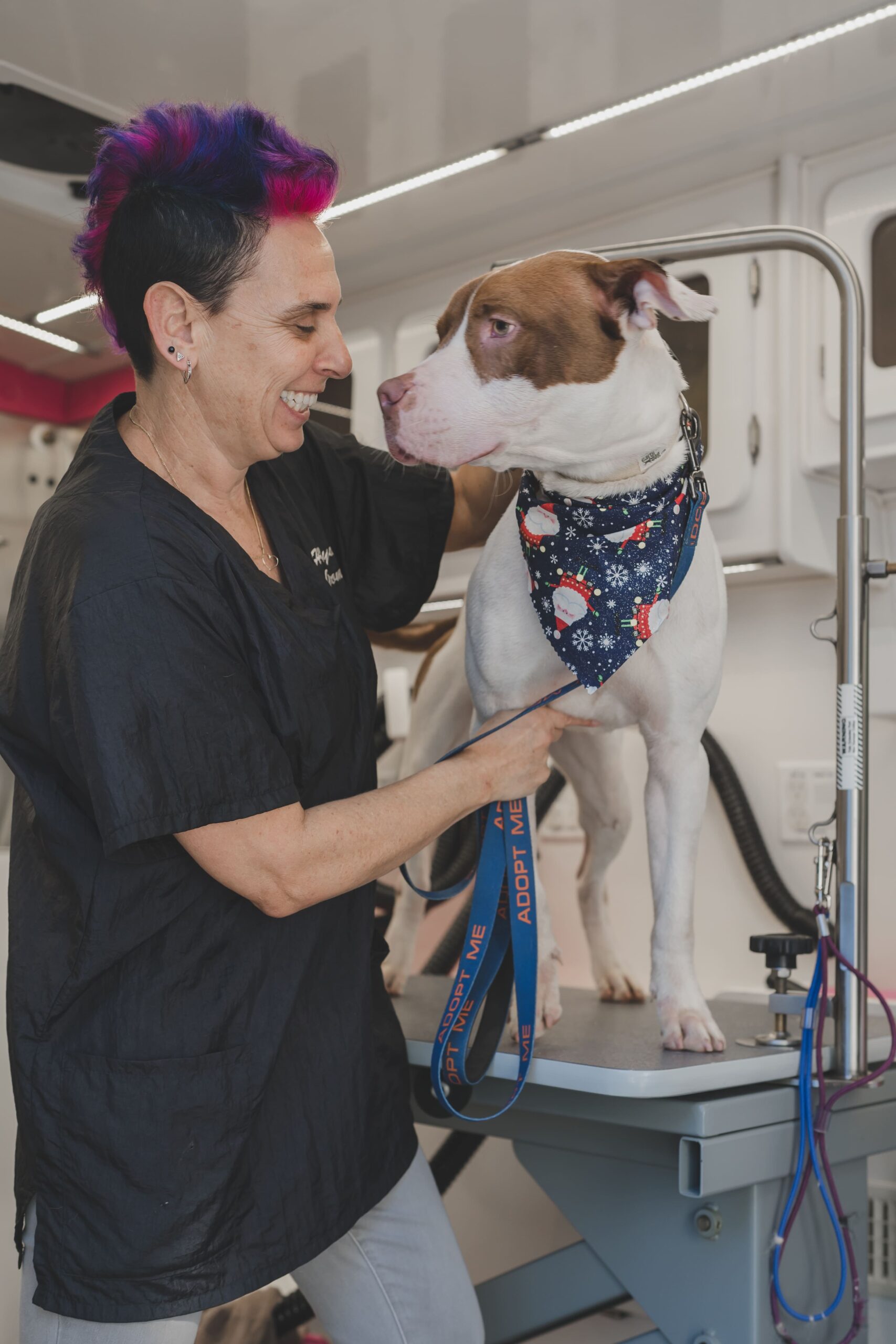 Yael washes a dog at a Grooming Station.